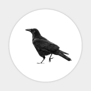 Crow Painting Magnet